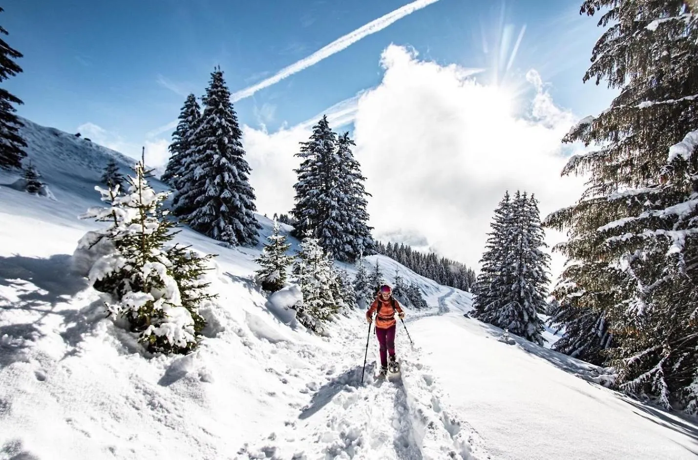 Le Linga Lgb203 Telecabine & Mountain 4 Pers Chatel Apartment
