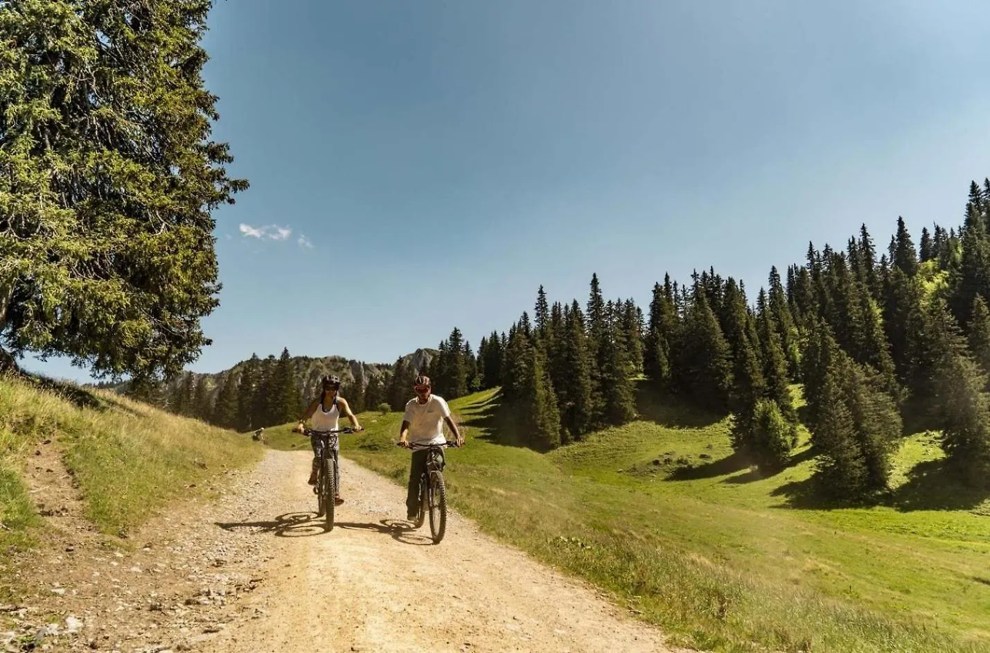 Le Linga Lgb203 Telecabine & Mountain 4 Pers Chatel France