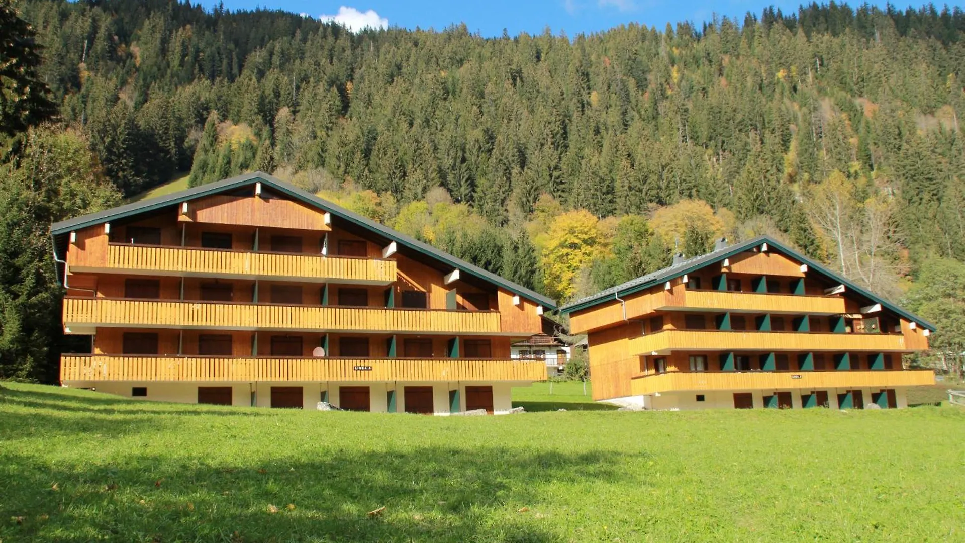 Apartment Le Linga Lgb203 Telecabine & Mountain 4 Pers Chatel